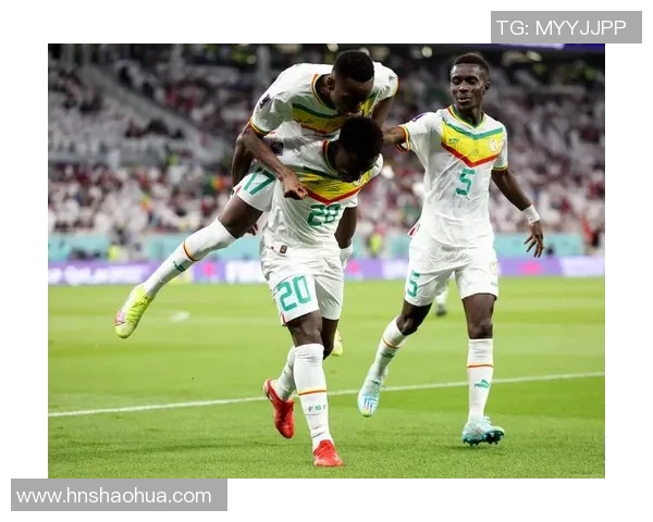 南非世法国对决南非球队精彩回顾与赛后分析