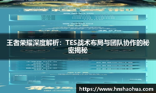 王者荣耀深度解析：TES战术布局与团队协作的秘密揭秘